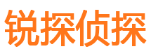 宣恩锐探私家侦探公司